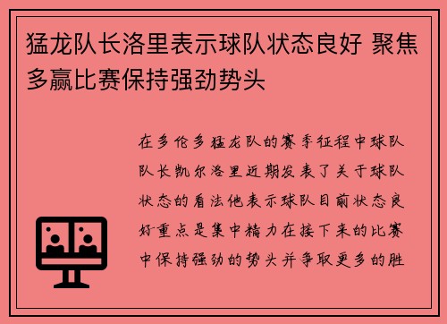 猛龙队长洛里表示球队状态良好 聚焦多赢比赛保持强劲势头